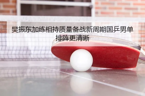 樊振东加练相持质量备战新周期国乒男单排阵更清晰